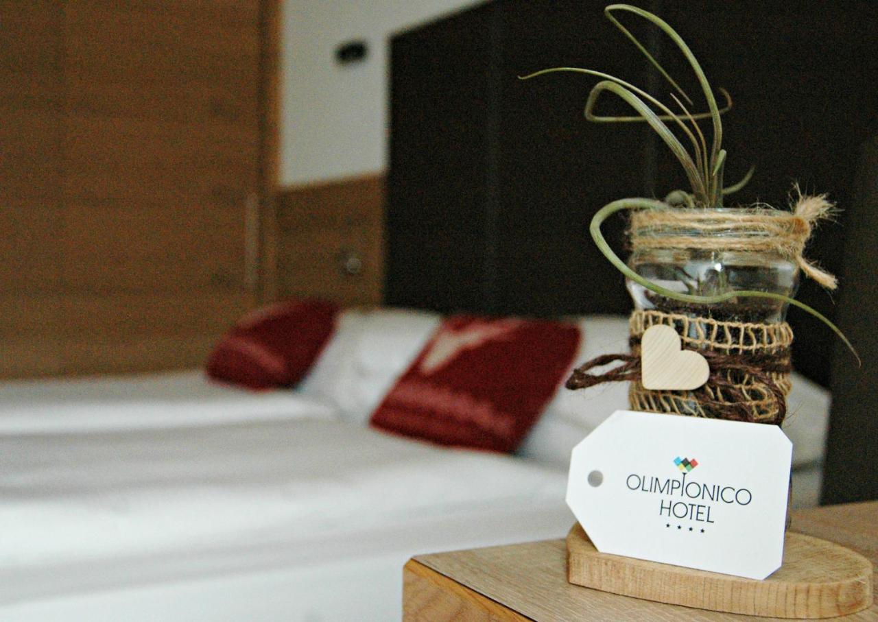 Olimpionico Hotel Castello-Molina di Fiemme Εξωτερικό φωτογραφία
